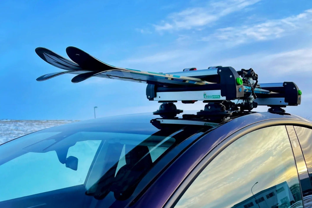 TreeFrog ski-/snowboard dragers (36,5cm) universeel