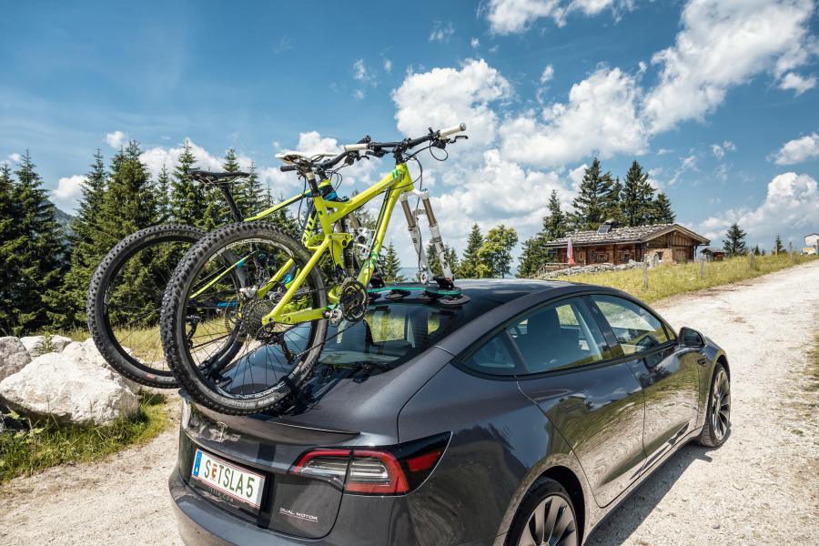 TreeFrog Pro 2 fietsendrager universeel
