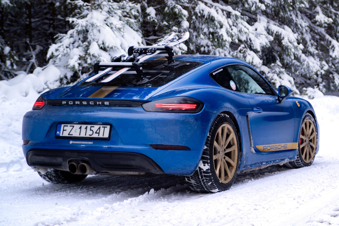 TreeFrog Ski&Snowboard 365 Carrier for Crossbar