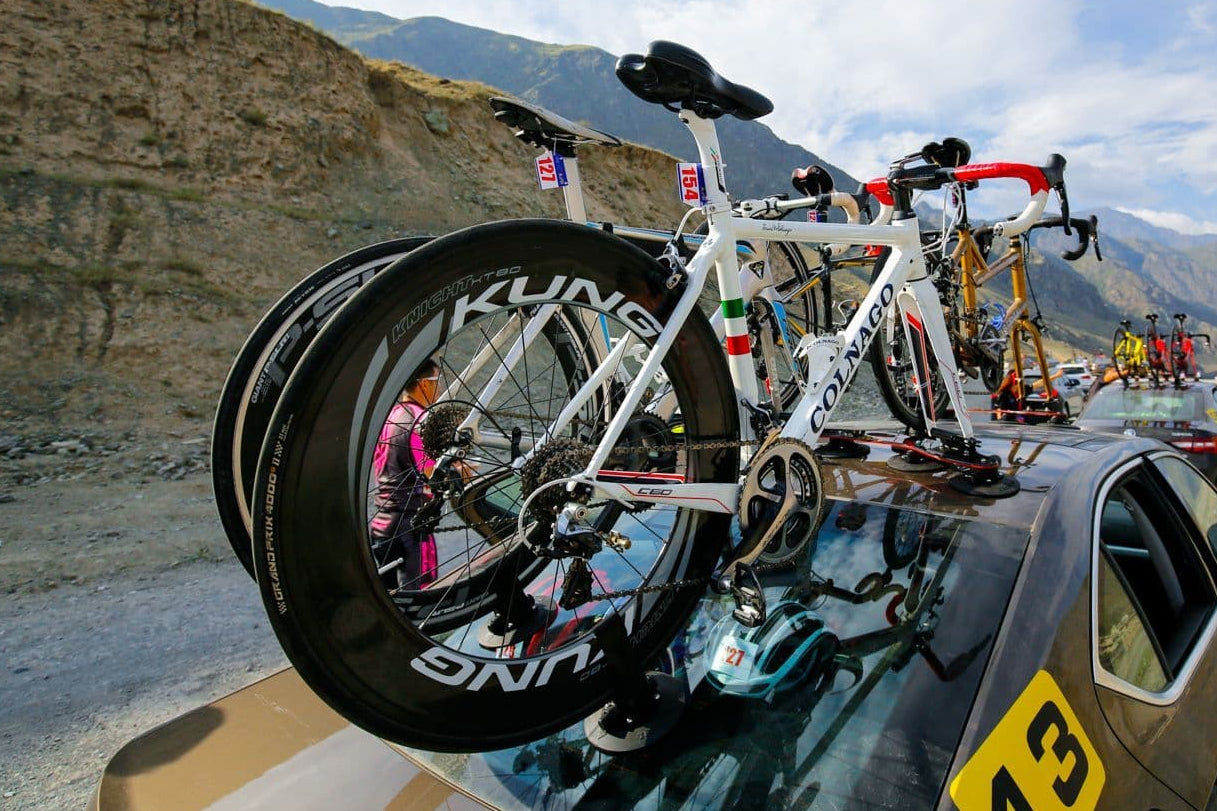TreeFrog Pro 2 fietsendrager universeel